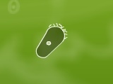 Joc Microbe Combat