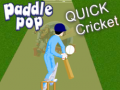 Joc Paddle Pop Quick Cricket
