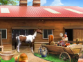 Joc Horse Ranch