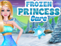 Joc Frozen Princess Care