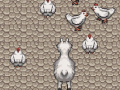 Joc Llama's Chicken Farm