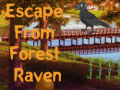 Joc Escape from Forest Raven