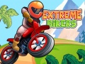 Joc Extreme Bikers