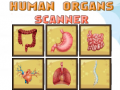 Joc Human Organs Scanner