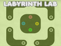 Joc Labyrinth Lab