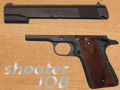 Joc Shooter Job