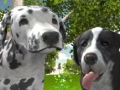 Joc Dog Simulator 3d