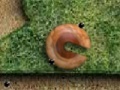 Joc Eggs Escape
