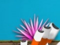 Joc Urchin merchant