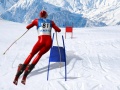 Joc Slalom Ski Simulator