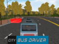 Joc City Bus Driver  