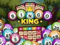 Joc Bingo King