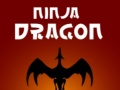 Joc Ninja Dragon