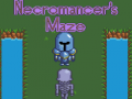 Joc Necromancer's Maze