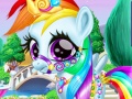 Joc Rainbow Pony Caring