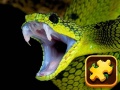 Joc Snake Puzzle Challenge