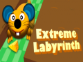 Joc Extreme Labyrinth