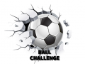 Joc Ball Challenge