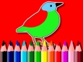 Joc Back To School: Birds Coloring Book