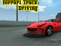 Joc Ferrari Track Driving
