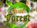 Joc Secret Forest