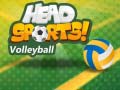Joc Head Sports Volleyball