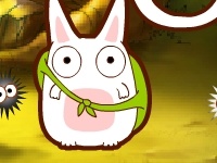 Joc Color rabbit