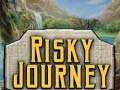 Joc Risky Journey