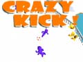 Joc Crazy Kick!