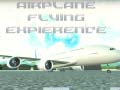Joc Airplane Flying Expierence