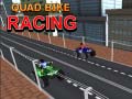 Joc Quad Bike Racing