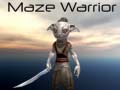 Joc Maze Warrior