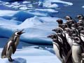 Joc Penguins Slide