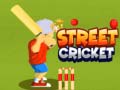 Joc Street Cricket