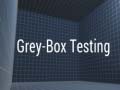 Joc Grey-Box Testing