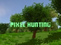Joc Pixel Hunting
