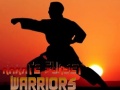 Joc Karate Sunset Warriors