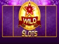 Joc Wild Slot
