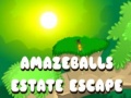 Joc Amazeballs Estate Escape