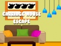 Joc Carriage House Escape