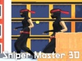 Joc Sniper Master 3D