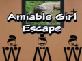 Joc Amiable Boy Escape