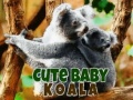 Joc Cute Baby Koala Bear