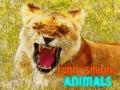 Joc Funny Smiling Animals