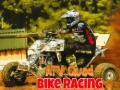 Joc ATV Quad Bike Racing