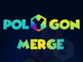 Joc Polygon Merge