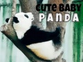 Joc Cute Baby Panda