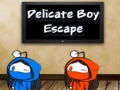 Joc Delicate Boy Escape