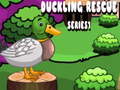 Joc Duckling Rescue Series1
