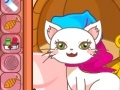 Joc Cathy The Pretty Cat